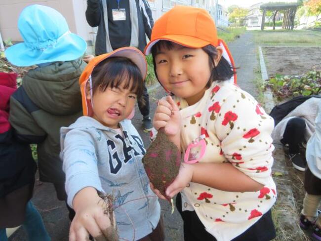 Љ@l F cۘAg^F肱ǂyǂ ʐ^